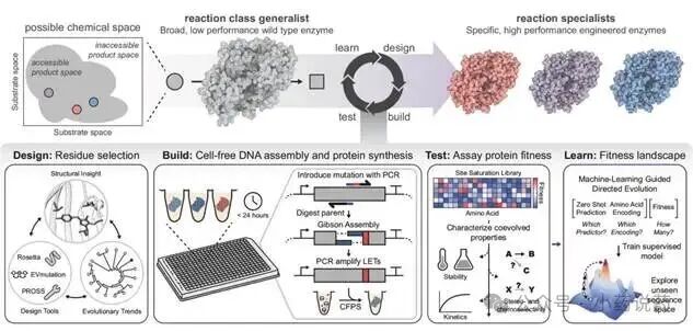 Accelerated enzyme engineering by machine-learning guided cell-free expression-2