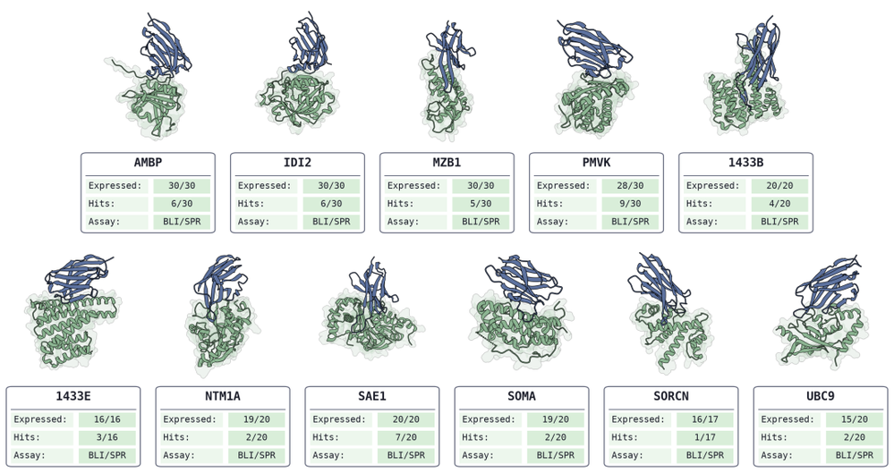 BoltzProt-1 de novo nanobody design across novelty-controlled targets, each shown as a designed binder (blue) docked to its target (green) with a summary of designs expressed, hits, and assay.