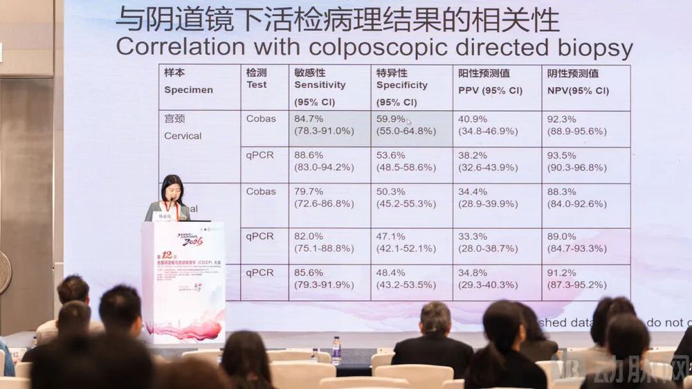 陈嘉伦教授_分论坛_2.jpg