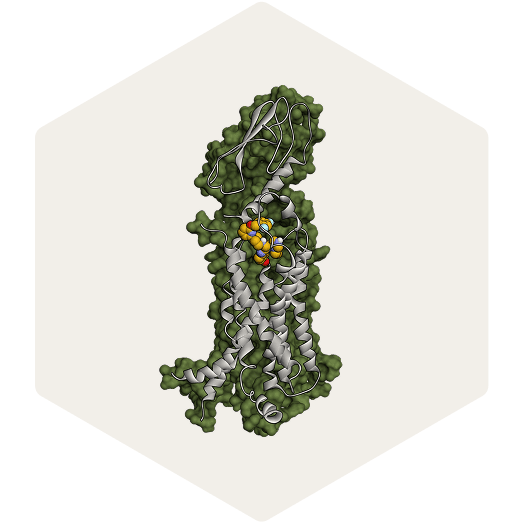 三维结构示意图.png