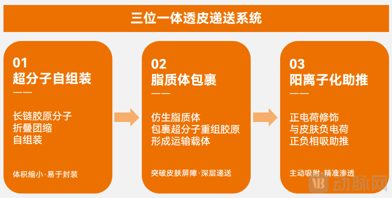 图片4流程图.png