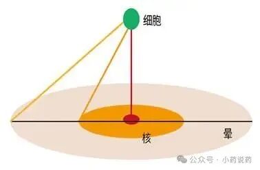 斑点特征